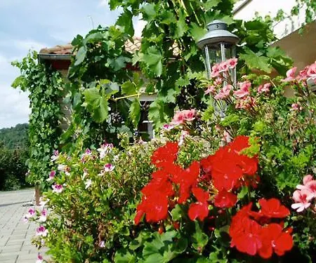 Weingut Benedikt Nilles Пюндерих