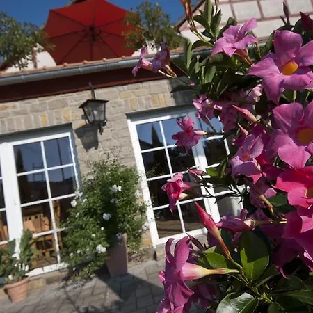 Weingut Benedikt Nilles Апартаменты
